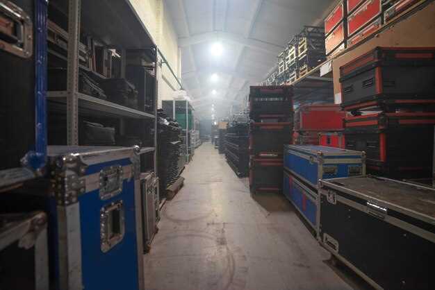 Organization Features That Maximize Space and Accessibility