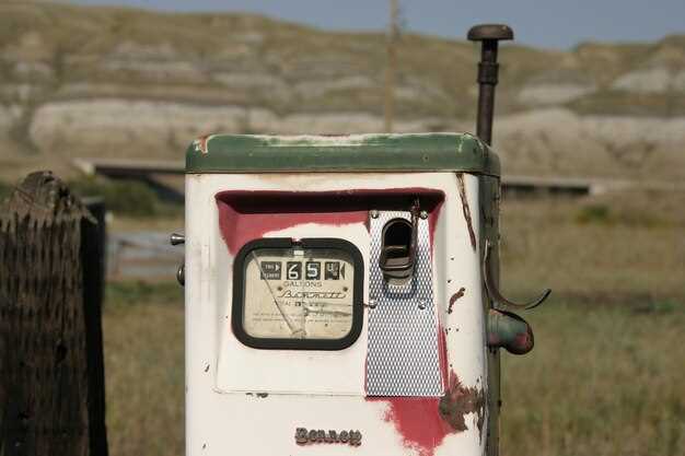 How Local Laws Affect Truck Ownership in Texas