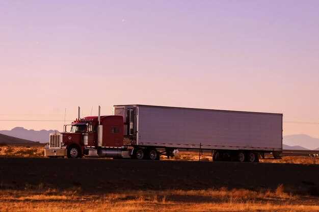 Key Features That Make Dually Trucks Stand Out in the Texas Market